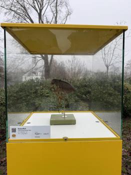 Stadtpark (Sonneberg)